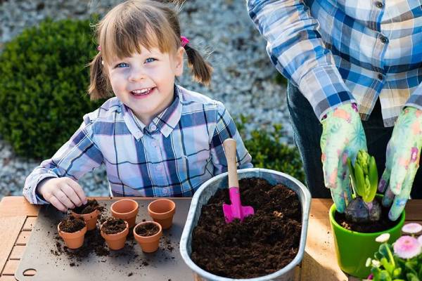 Activities for growing minds